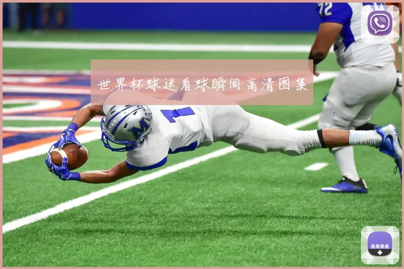 世界杯球迷看球瞬间高清图集