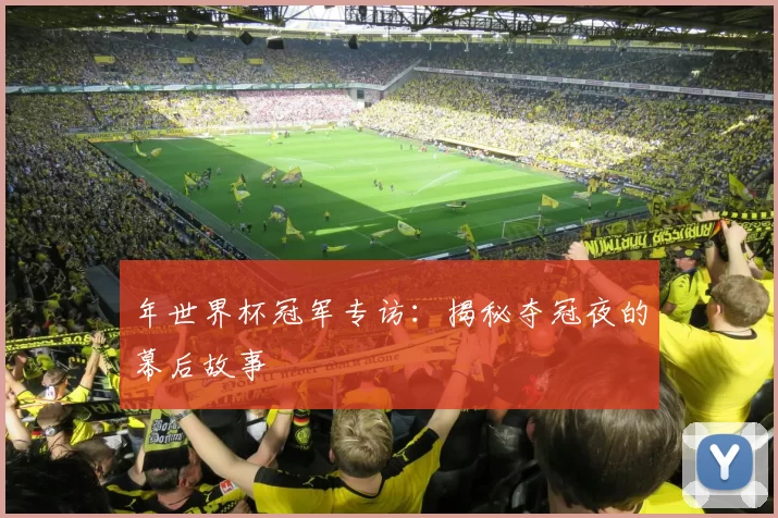 年世界杯冠军专访：揭秘夺冠夜的幕后故事