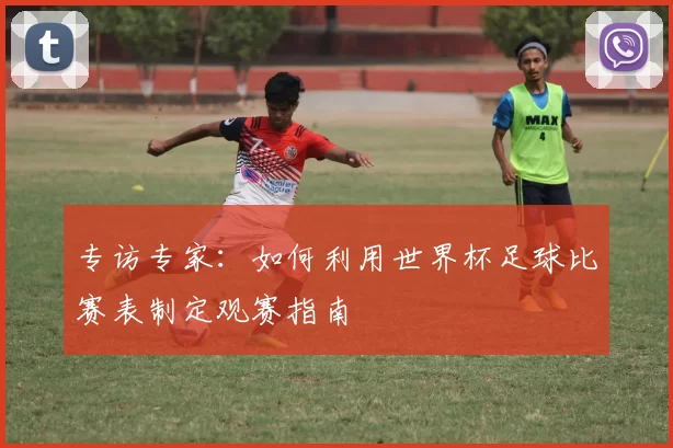 专访专家:如何利用世界杯足球比赛表制定观赛指南