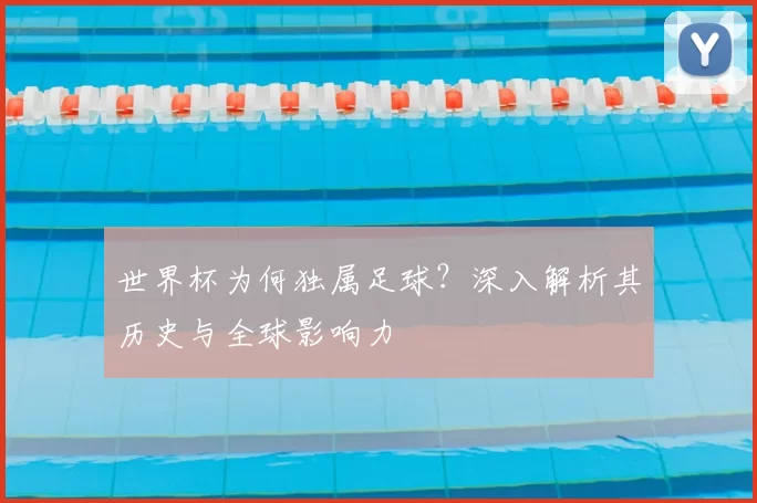 世界杯为何独属足球？深入解析其历史与全球影响力