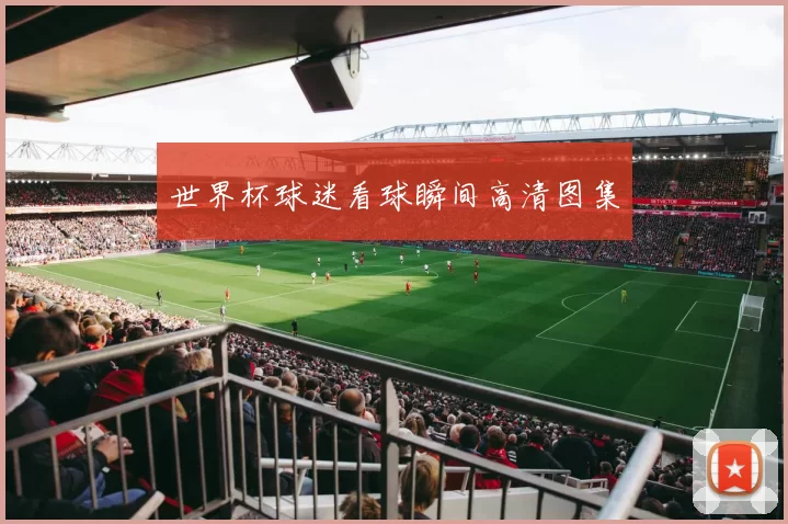 世界杯球迷看球瞬间高清图集