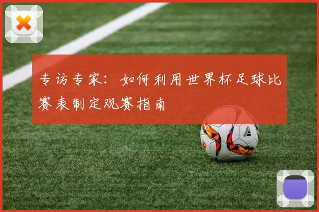 专访专家：如何利用世界杯足球比赛表制定观赛指南