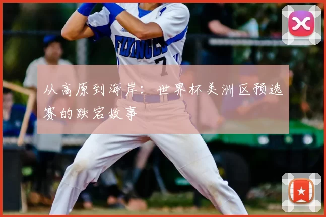 从高原到海岸:世界杯美洲区预选赛的跌宕故事