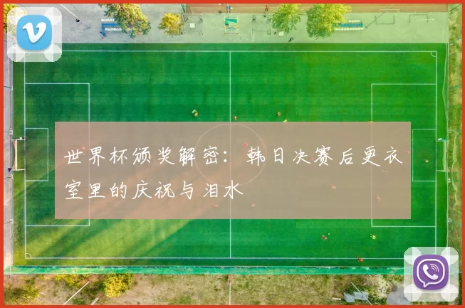世界杯颁奖解密：韩日决赛后更衣室里的庆祝与泪水