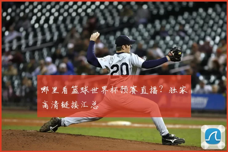 哪里看篮球世界杯预赛直播?独家高清链接汇总