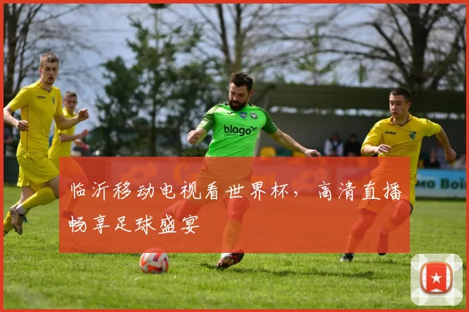临沂移动电视看世界杯,高清直播畅享足球盛宴