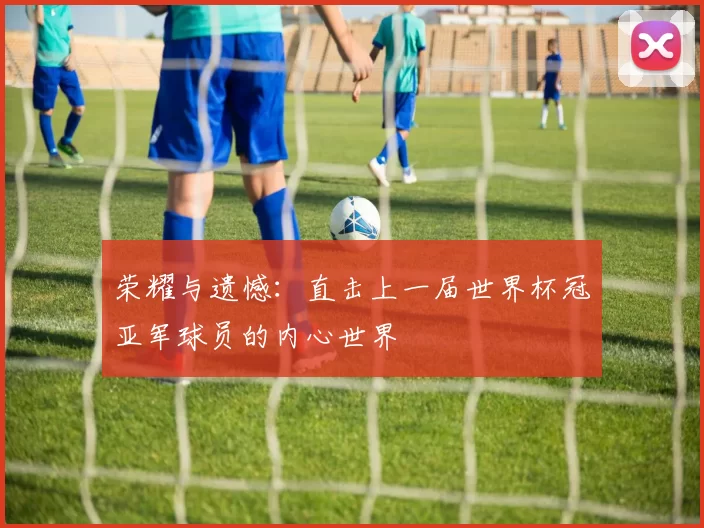 荣耀与遗憾:直击上一届世界杯冠亚军球员的内心世界