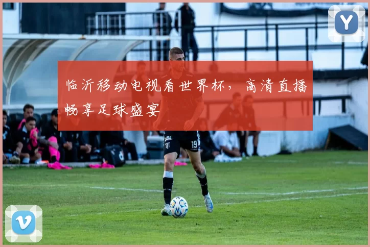 临沂移动电视看世界杯，高清直播畅享足球盛宴